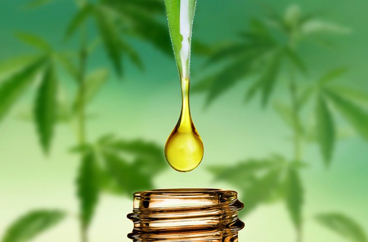 CBD Oil Toronto